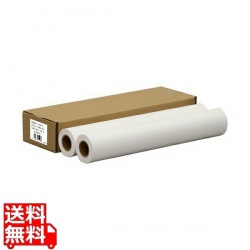 H01B 普通紙ベーシックタイプ 594mm*45m 2R 写真1