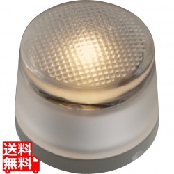 ヘリオスグランドライト LEDグラス 直径60 電球色 写真1