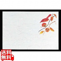 四季紙 千寿(100枚入)M30-211 柿 写真1