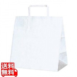 手堤袋 H25チャームバッグ E(平手)50枚入 白無地 写真1