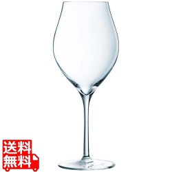 エグザルテーション ワイン55 V6189 550cc(6個入) 写真1