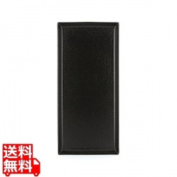 エキノクス レクタンギュラープレート649566 キャストアイアン 写真1