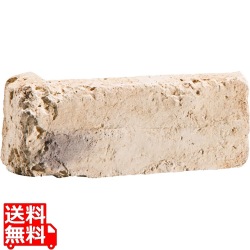 レジェンドブリックNX ベージュ10 コーナー 写真1