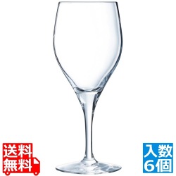 センセーション エグザエルト・ワイン 41 E7695(6個入) 写真1