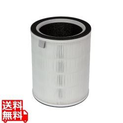 Acerpure 交換用フィルター 写真1