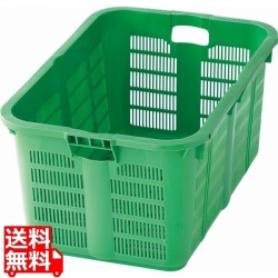 リス プラスケット No.800 グリーン 写真1