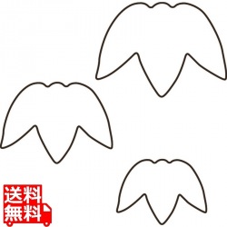 生抜 3PC 竹 写真1