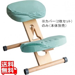 プロポーションチェア用替カバー(2枚セット CV-N8W LGR 写真1