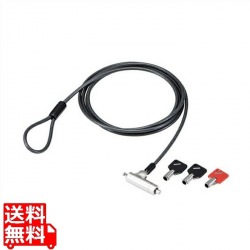 セキュリティワイヤーロック マルチスロット対応 写真1