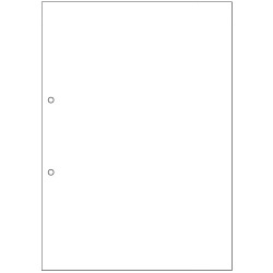 マルチプリンタ帳票 複写タイプ A4 ノーカーボン 白紙2穴 500枚/箱(100枚×5冊入) 写真1
