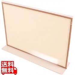 え)TS-100T型クリアメニュー(B-5) 写真1