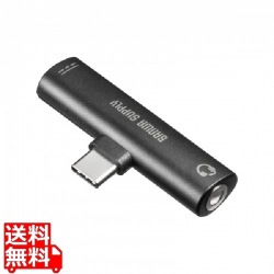 Type-Cオーディオ変換アダプタ(USB PD対応) 写真1