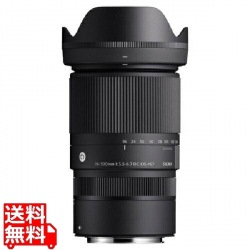 16-300/3.5-6.7DCOS(C)CARF 写真1