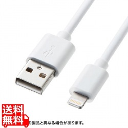 ライトニングケーブル 白 1m 写真1