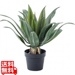 フェイクグリーン アガベ 写真1
