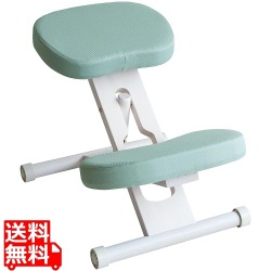 プロポーションチェア CH-N88W ホワイトライトグリーン 写真1