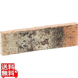 ディアナスリム レトラオレンジ 基本 写真1