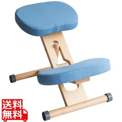 プロポーションチェア CH-N88W ナチュラルライトブルー 写真1