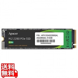 AS2280Q4L M.2 PCIe Gen4 x4 512GB 写真1