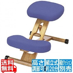 宮武製作所 ミヤタケ プロポーションチェア ブルー | チェア イス 椅子 いす 子どもから大人まで 姿勢 背中 矯正 補助 高さ調節 クッション キャスター 写真1