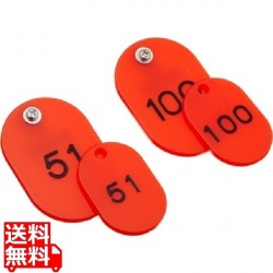 クロークチケット KF968 51?100 赤 写真1