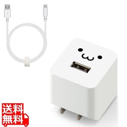 iPhone充電器 2.4A出力 ライトニングケーブル 付属 1m 高耐久 断線しにくい ホワイトフェイス 写真1