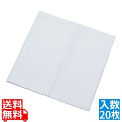 オルソーブ パワークリーン 500×500(20枚入) 写真1