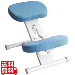 プロポーションチェア CH-N88W ホワイトライトブルー 写真1