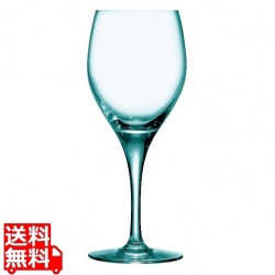 センセーション エグザルト・ワイン310 E7696 310cc 写真1