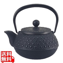 南部鉄 急須 亀甲型 0.3L(3型)12303 写真1