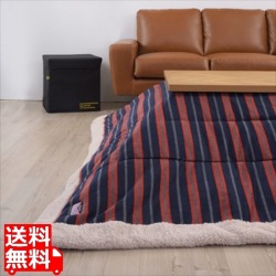 ボーダー柄 写真1