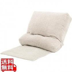 L4 マルチフロアチェア CTN-CF 写真1