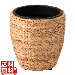 L2 プランター M 写真1