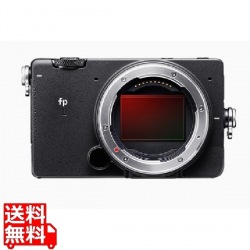 fp L ボディ 写真1