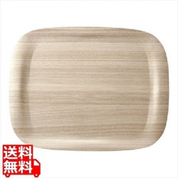 アーストレイ 大 写真1