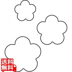 生抜 3PC 梅 写真1