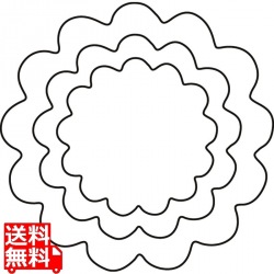 野菜抜 3PC 菊の花 写真1