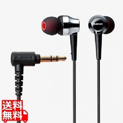 ステレオヘッドホン/カナル/ハイレゾ対応/10.0mmドライバ/RH1000/ブラック 写真1