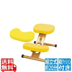 プロポーションチェア キッズ  クッション付 CH-889CK レモン 宮武製作所 | チェア 子ども 子供用 椅子 いす 矯正 姿勢 背中 高さ調節 補助 写真1