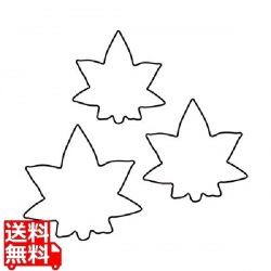 生抜 3PC 紅葉 写真1