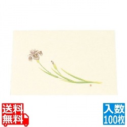 尺三 懐石まっと クリーム(100枚入)WSS-5 あやめ 写真1