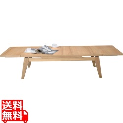 コパン エクステンションテーブル 写真1