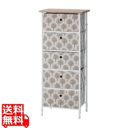 簡単組立チェスト5D 写真1