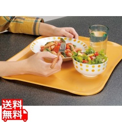 キャンブロ センチュリーカムトレー 1520C(171)タスカンゴールド 写真1