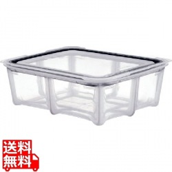 シリコン GNホテルパン 1/2×100mm 写真1