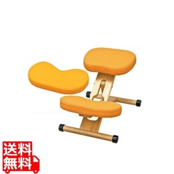 プロポーションチェア キッズ クッション付き CH-889CK オレンジ 宮武製作所| キッズ チェア イス 椅子 いす 高さ調節 背筋 矯正 姿勢 子ども用 補助 勉強部屋 写真1