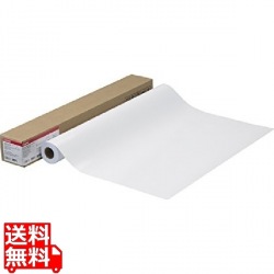 フォト光沢紙HG(薄口) 170g/m2 A1 594mm×30m 1本/箱 LFM-GPH/A1/170 写真1