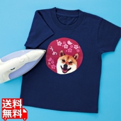 インクジェットカラー布用アイロンプリント紙 写真1