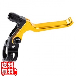 Brake Lever ゴールド ( CH ) 写真1