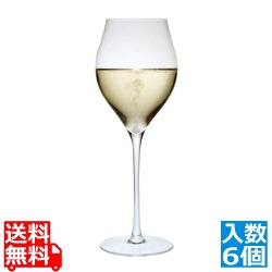 レーマン ミランダ チューリップ シャンパーニュ 20207 300cc(6個入) 写真1